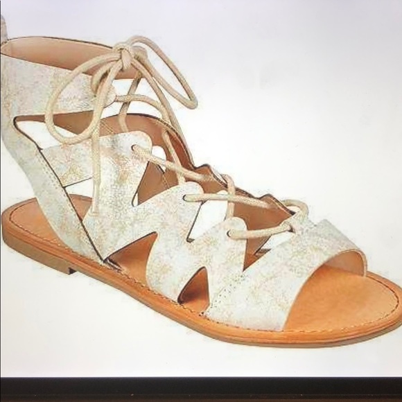 indigo rd gladiator sandals